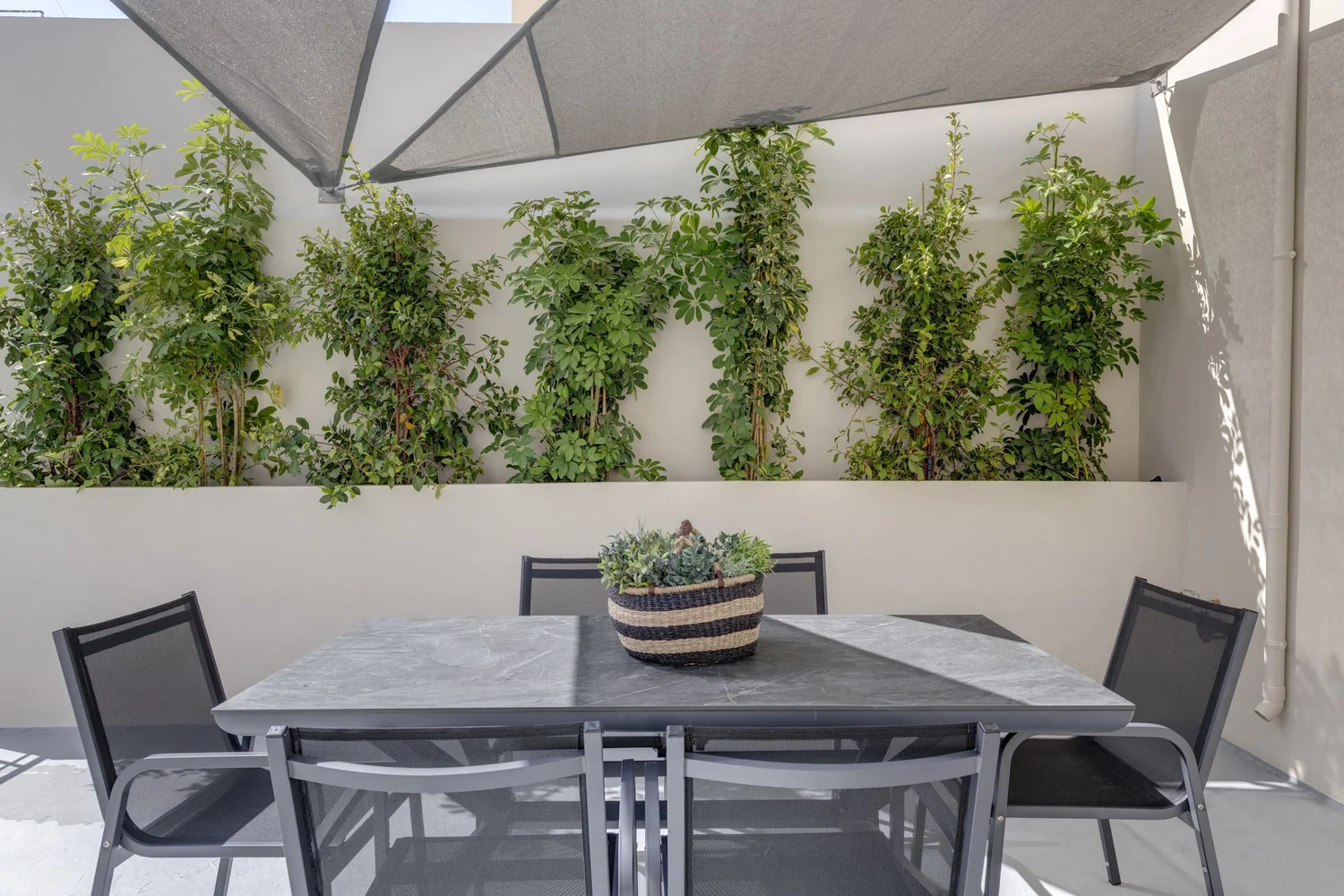 Table set beside the planted wall of the lower terrace